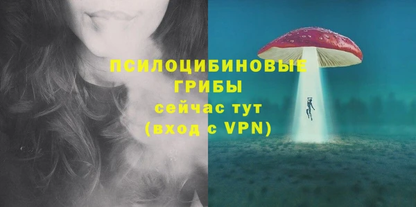 шишки Михайловка