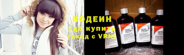 хмурый Михайловск