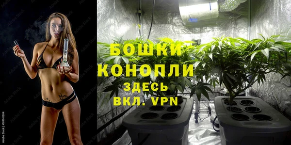 хмурый Михайловск
