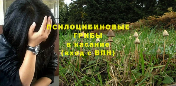 кокаин перу Михайлов