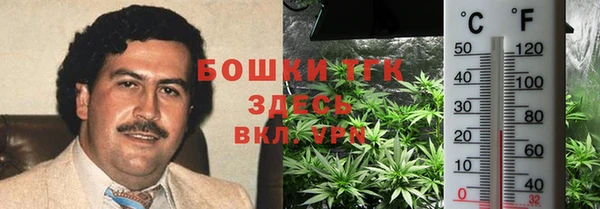 шишки Михайловка