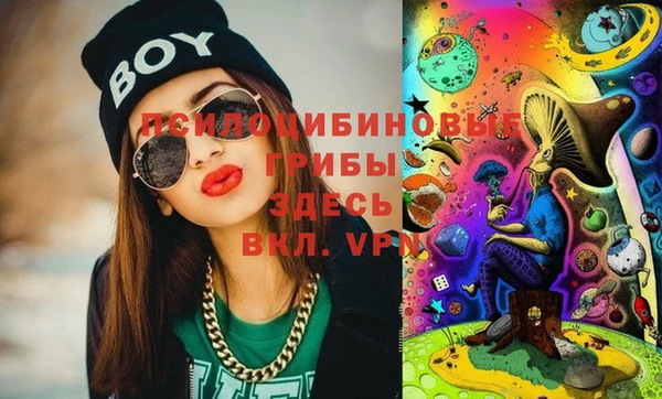 хмурый Михайловск