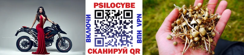Псилоцибиновые грибы Psilocybine cubensis Томилино